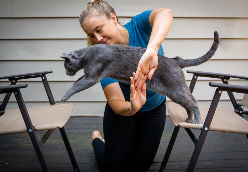 Basic Kitten Training Tips