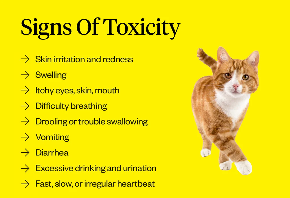 signs of toxicity