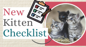 Kitten Adoption Checklist