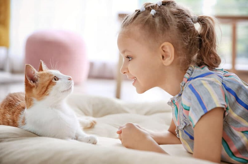 Kitten interaction with children