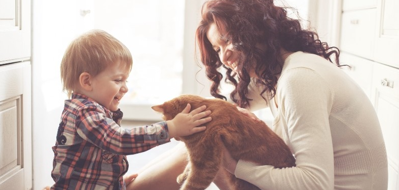 Create a Good Relationship between Kids and Kitten