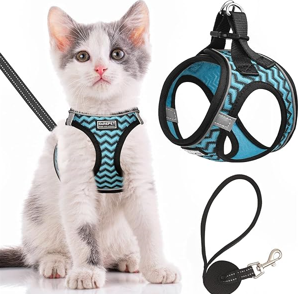 Basic Cat Walking Supplies