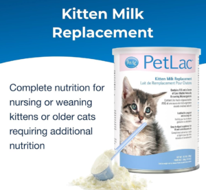 Kitten milk replacement formula