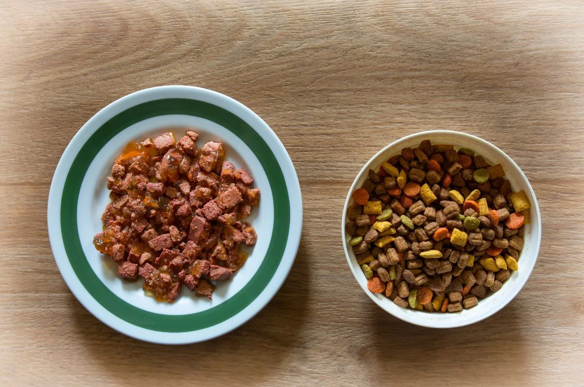 Dry Cat Food vs. Wet Cat Food