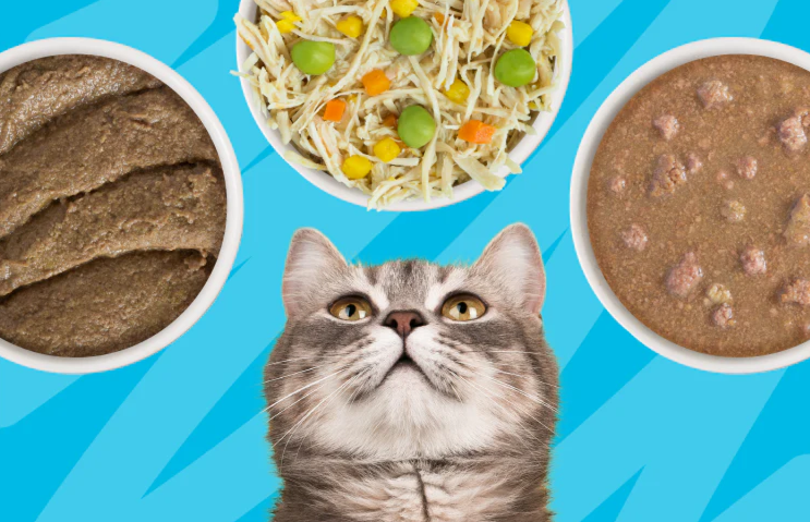 Choosing A Food For Adult Cats