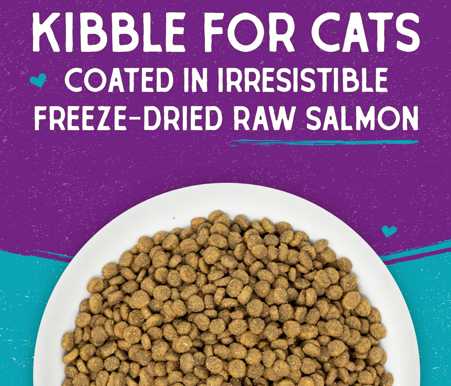 Kibble for cat