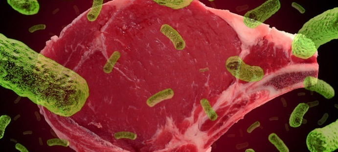 Bacterial Contamination in raw meat