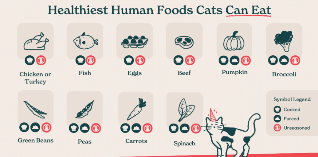 More Human Foods That Are Safe For Cats