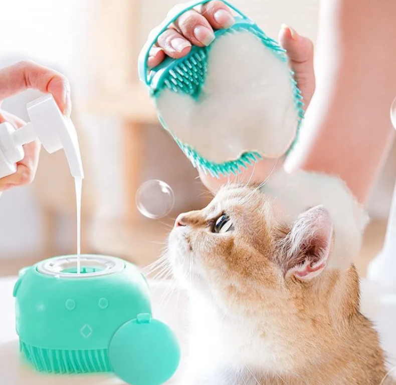 Brushing Kitten's Fur in bathing time