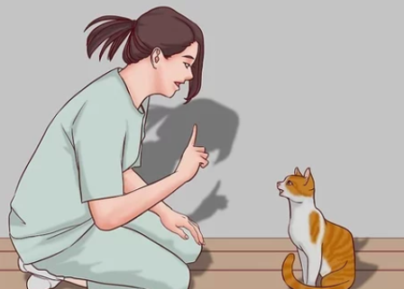 Talking to a cat calmly and softly