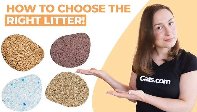 Cat Litter Types