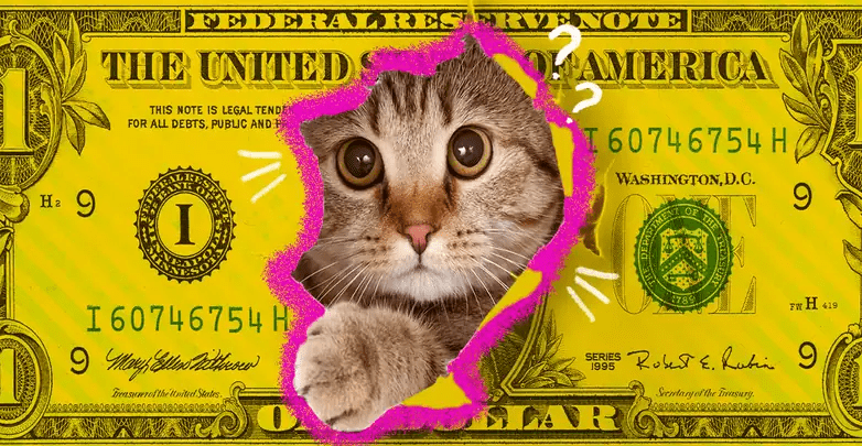 cost to adopt a cat