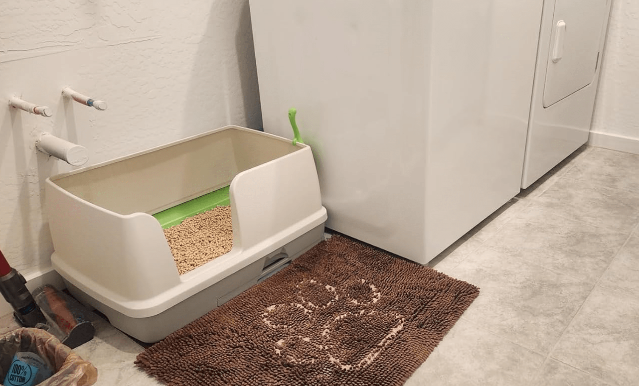 Cat Litter box areas