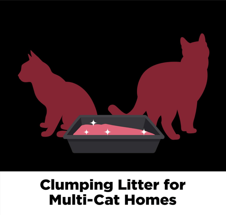 clumping litter for multi-cat homes