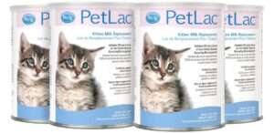 Pet-Ag PetLac Powder for Kittens - 10.5 oz, Pack of 4 - Kitten Milk Replacement Powder for Kittens Newborn to Six Weeks Old - Easy to Digest 