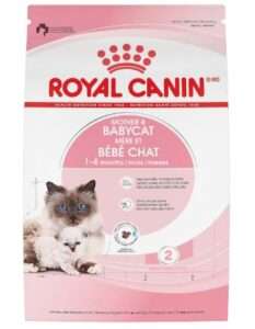 Royal Canin Feline Health Nutrition Mother & Babycat Dry Cat Food for Newborn Kittens and Pregnant or Nursing Cats, 6 lb bag 