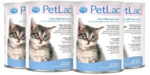Pet-Ag PetLac Powder for Kittens - 10.5 oz, Pack of 4 - Kitten Milk Replacement Powder for Kittens Newborn to Six Weeks Old - Easy to Digest 