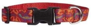 LupinePet Originals 1" Go Go Gecko 16-28" Adjustable Collar for Large Dogs