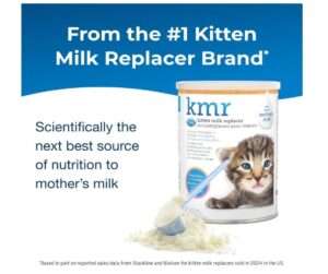 PetAg KMR Kitten Milk Replacer Powder - 12 oz - Powdered Kitten Formula with Prebiotics, Probiotics & Vitamins for Kittens Newborn to Six Weeks Old - Easy to Digest 