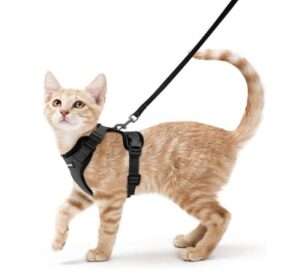 rabbitgoo Cat Harness and Leash for Walking, Escape Proof Soft Adjustable Vest Harnesses for Cats, Easy Control Breathable Reflective Strips Jacket, Black, XS
