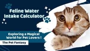 Feline Water Intake Calculator