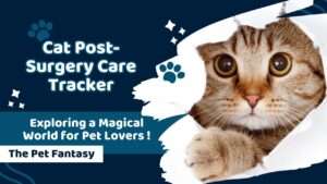 Cat Post-Surgery Care Tracker