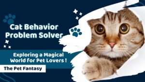 Cat Behavior Problem Solver