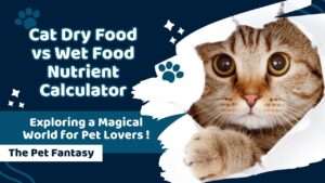 Cat Dry Food vs Wet Food Nutrient Calculator