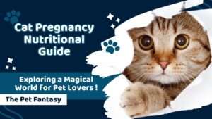 Cat Pregnancy Nutritional Guide