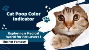 Cat Poop Color Indicator