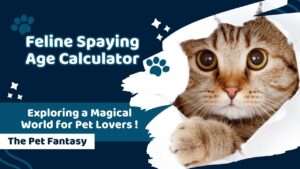 Feline Spaying Age Calculator