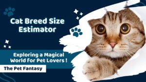 Cat Breed Size Estimator