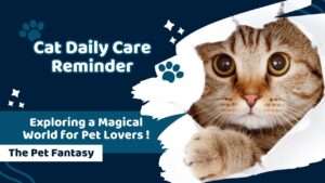 Cat Daily Care Reminder
