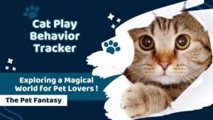 Cat Play Behavior Tracker