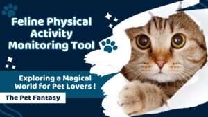 Feline Physical Activity Monitoring Tool
