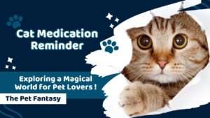 Cat Medication Reminder