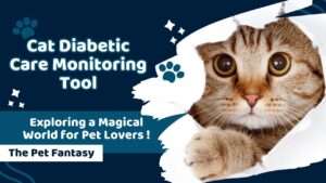 Cat Diabetic Care Monitoring Tool