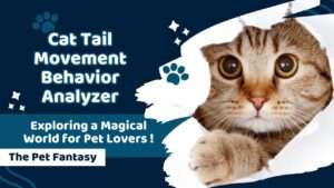 Cat Tail Movement Behavior Analyzer