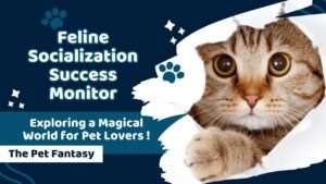 Feline Socialization Success Monitor