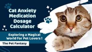 Cat Anxiety Medication Dosage Calculator
