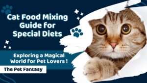 Cat Food Mixing Guide for Special Diets