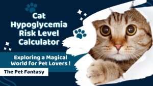 Cat Hypoglycemia Risk Level Calculator