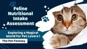 Feline Nutritional Intake Assessment