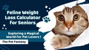 Feline Weight Loss Calculator for Seniors