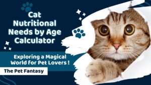 Cat Nutritional Needs by Age Calculator