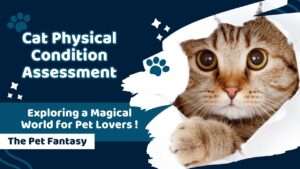 Cat Physical Condition Assessment