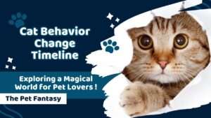 Cat Behavior Change Timeline
