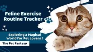 Feline Exercise Routine Tracker