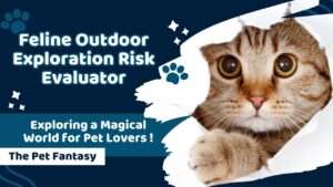 Feline Outdoor Exploration Risk Evaluator