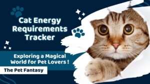 Cat Energy Requirements Tracker